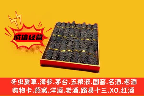 大兴安岭地区回收海参